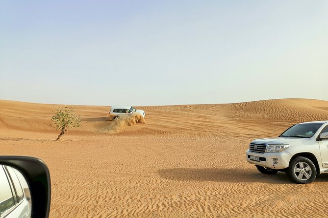 Doha Quad Bike, Dune Bashing, Camel Ride and Island Sea Tour - The Inland Sea is the scenic payoff