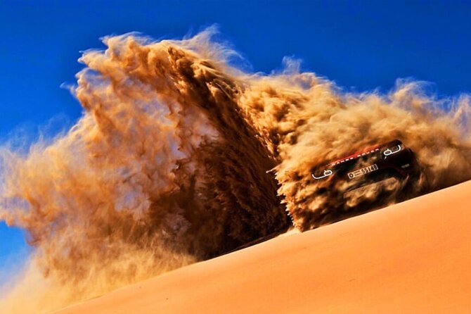 Doha Quad Bike, Dune Bashing, Camel Ride and Island Sea Tour - Camel rides, falcons, and the question of extras