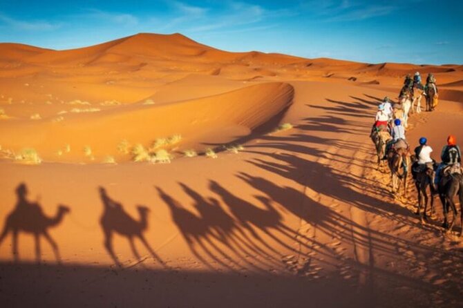 Doha Quad Bike, Dune Bashing, Camel Ride and Island Sea Tour - The guides can shape the whole day