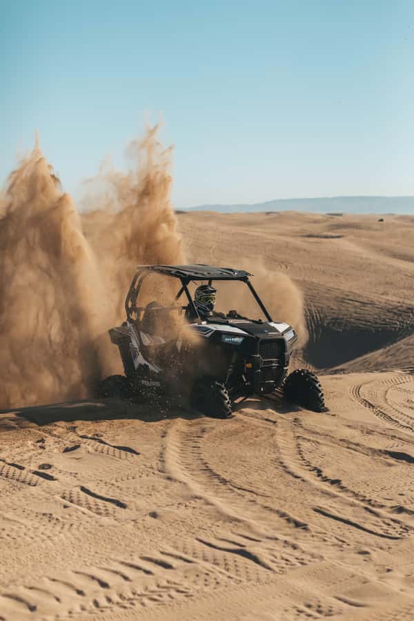 Doha: Quad Bike, Dune Bashing, Camel Ride & Inland Sea Tour - Who will enjoy this tour most?