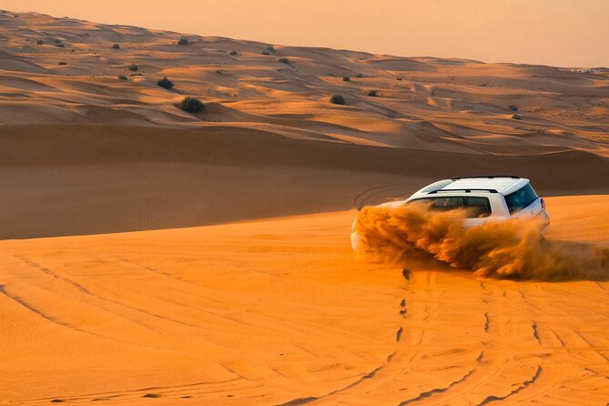 Doha: Quadbike, Dune Bashing, Camel Ride, Inland Sea Visit - Dune bashing in a Land Cruiser