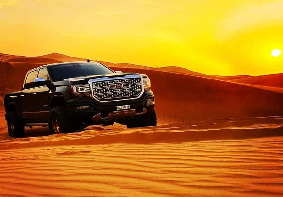 Doha: Relax Desert Safari, Camel Ride, Inland Sea, Swimming - Should you book this tour?