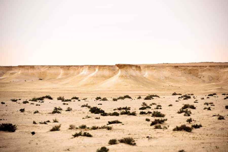 Doha: Richard Serra Sculpture,Mushroom Hill,Camel Race Track - Timing, comfort, and value at $60