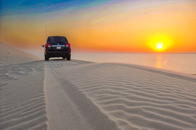Doha Safari Adventures, Dune Bashing, Sand Buggy, Camel Ride Tour - Dunes beside the sea