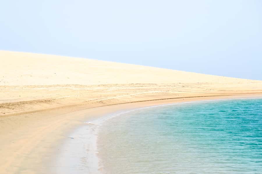 Doha: Safari, ATV, Camels, Sandboarding and Inland Sea Tour - Guides, driving, and group style