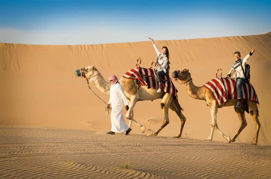 A camel train crossing the dunes south of Doha