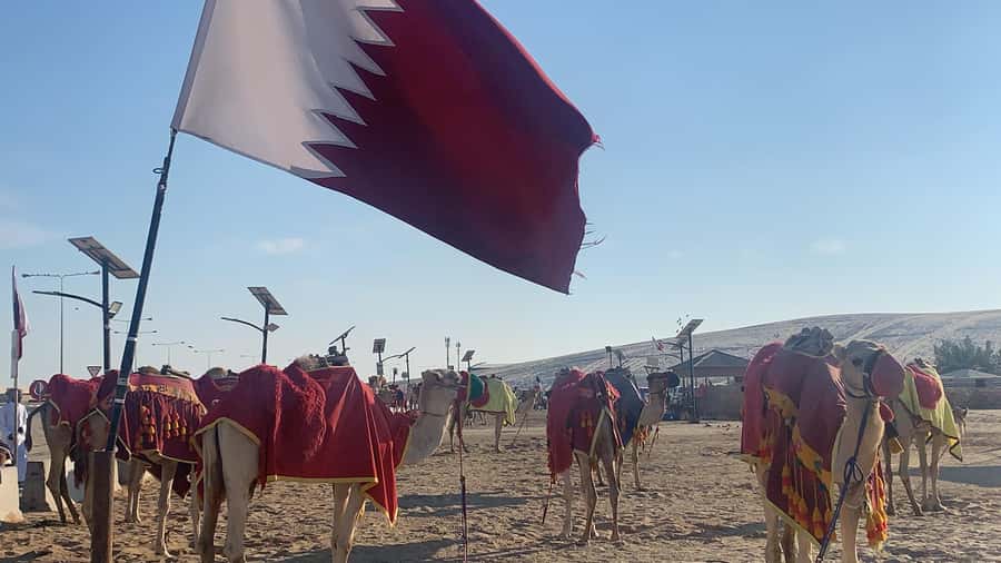 Doha: Safari | Inland Sea Tour | Camel Ride | Sandboarding - Sealine Beach and the short camel ride