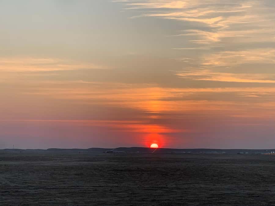 Doha: Safari | Inland Sea Tour | Camel Ride | Sandboarding - Forty minutes of dune bashing