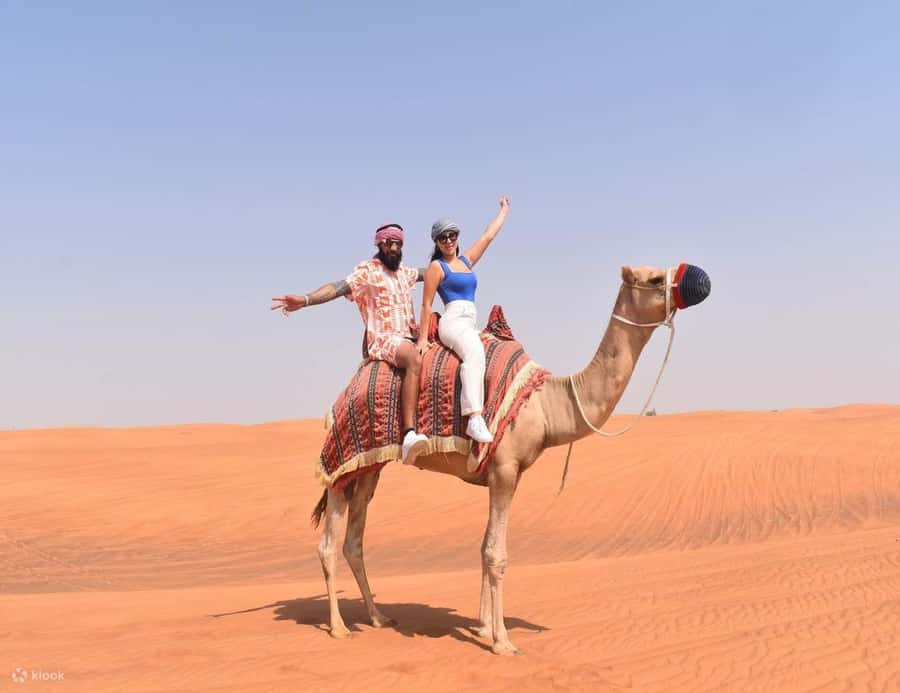 Doha Safari Quadbike, CamelRide, Sandboarding & Inland Sea - Who will enjoy this safari most