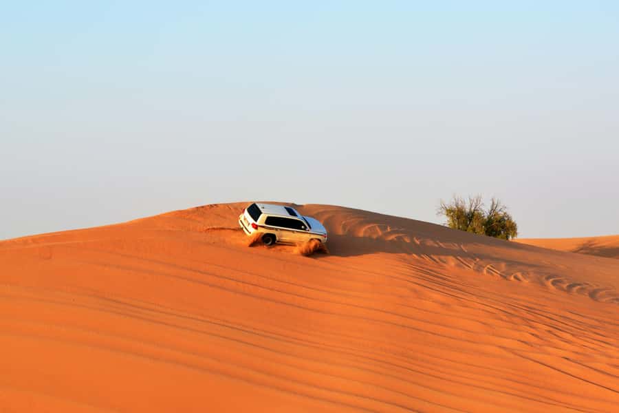 Doha:Safari Tour with Lunch/Dinner in Desert by the Sea Side - Camel rides and optional activities
