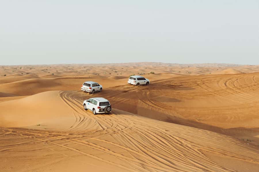 Doha:Safari Tour with Lunch/Dinner in Desert by the Sea Side - What the private format is worth at $265