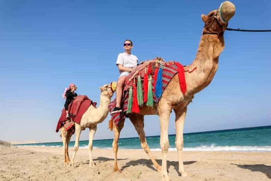 Doha Safari with Camel Ride, Inland Sea & Hotel Transfer - Sandboarding on the soft slopes