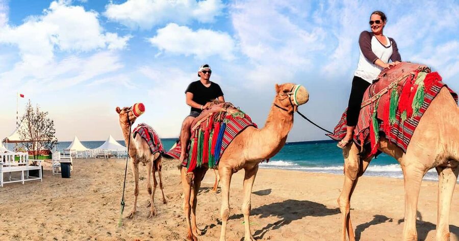 Doha Safari with Camel Ride, Inland Sea & Hotel Transfer - The Inland Sea, where sand meets water