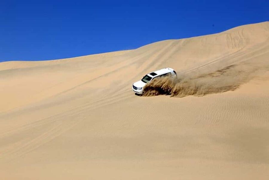 Doha Safari with Camel Ride, Inland Sea & Hotel Transfer - Price, booking flexibility, and practical value