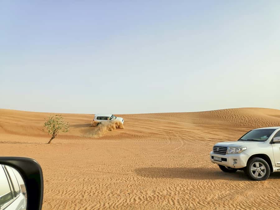 Doha: Shared Desert Safari, Sandboarding, Camel Ride - What the $12 price really gets you