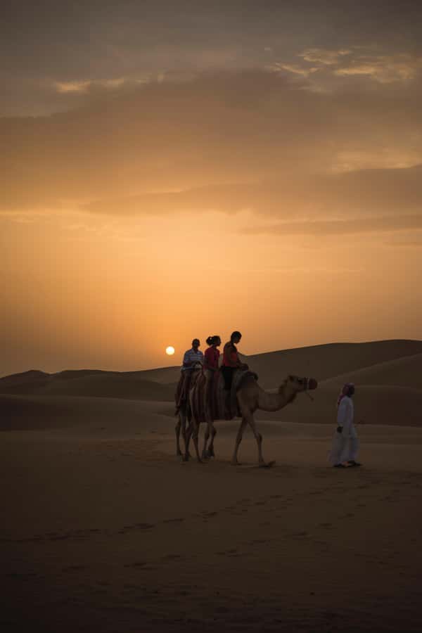 Doha: Shared Desert Safari, Sandboarding, Camel Ride - Comfort, timing, and who should book