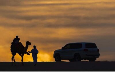 Stargazing Desert Safari w/ Dune Bashing & Camel Ride