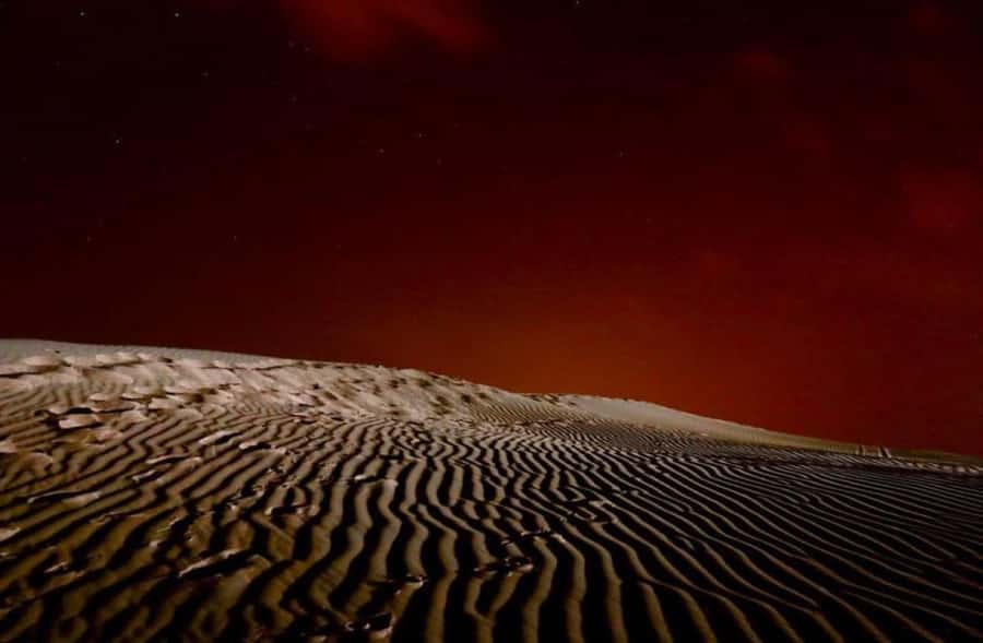 Doha: Stargazing Desert Safari w/ Dune Bashing & Camel Ride - Tea, quiet, and the astronomy session