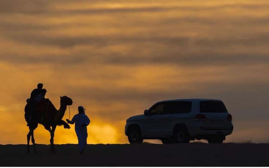 Doha: Stargazing Desert Safari w/ Dune Bashing & Camel Ride - Sealine: your first look at Qatar’s desert edge