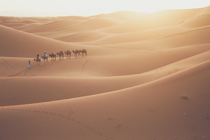Doha Sunrise Desert Safari Tour| Dune Bashing| Inland Sea visit| Camel Riding - Leaving Doha in a private 4x4