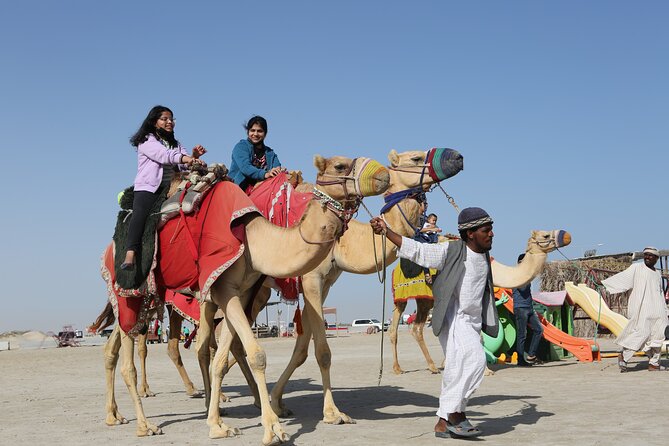 Doha; Sunrise Desert Tour and camel safari 4hrs - Who will enjoy this tour most