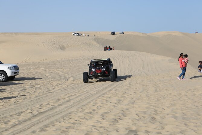 Doha; Sunrise Desert Tour and camel safari 4hrs - From Doha to Sealine Beach
