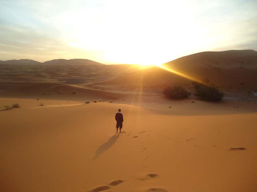 Doha:Sunrise or Sunset Desert Safari Tour with Sand Boarding - Sandboarding on the dunes