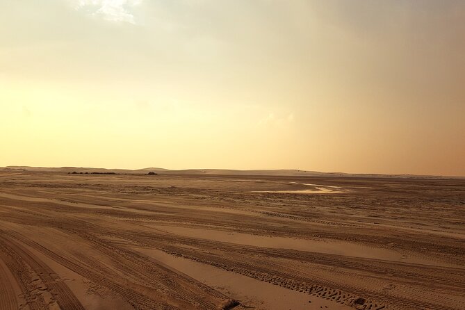 Doha: Sunrise /Sunset Desert Safari with Sand Boarding,Camel ride - Should you book it?
