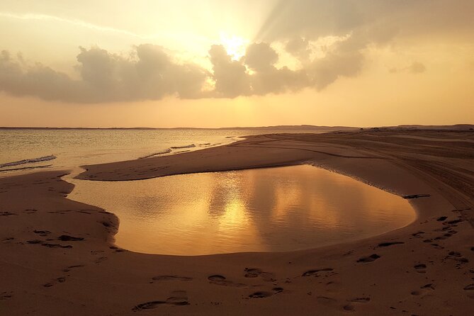 Doha: Sunrise /Sunset Desert Safari with Sand Boarding,Camel ride - Dune bashing and sand boarding in a private 4x4