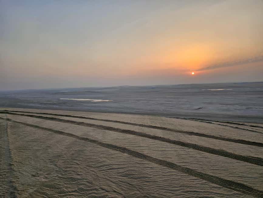 Doha Sunrise/Sunset or Night Stargazing desert safari. - Key points to know before you book