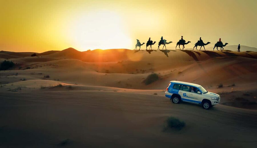 Doha: Sunset Desert Safari, ATV, Camel Ride and Sandboarding - Quick facts about the desert safari