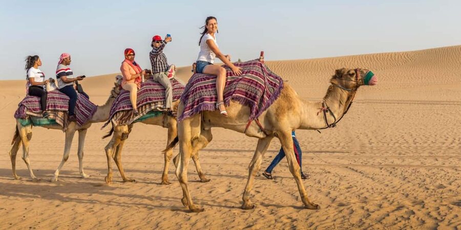 Doha: Sunset Desert Safari, ATV, Camel Ride and Sandboarding - Sandboarding is easy to try, harder to climb