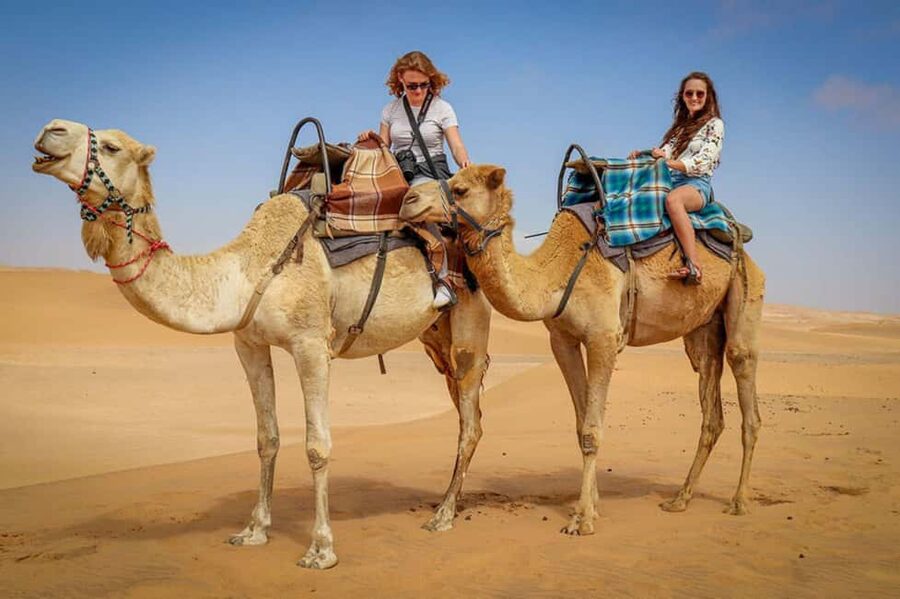 Doha: Sunset Desert Safari, ATV, Camel Ride and Sandboarding - Khor Al Adaid is the quiet reward
