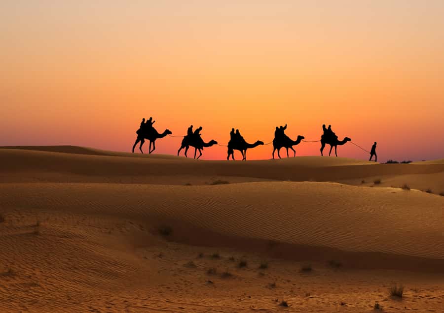 Doha: Sunset Safari, Dune Bashing, Sandboarding & Camel Ride - What the $29 price really covers