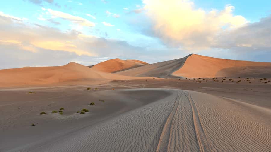 Doha: Sunset Safari, Dune Bashing, Sandboarding & Camel Ride - Practical advice before you go