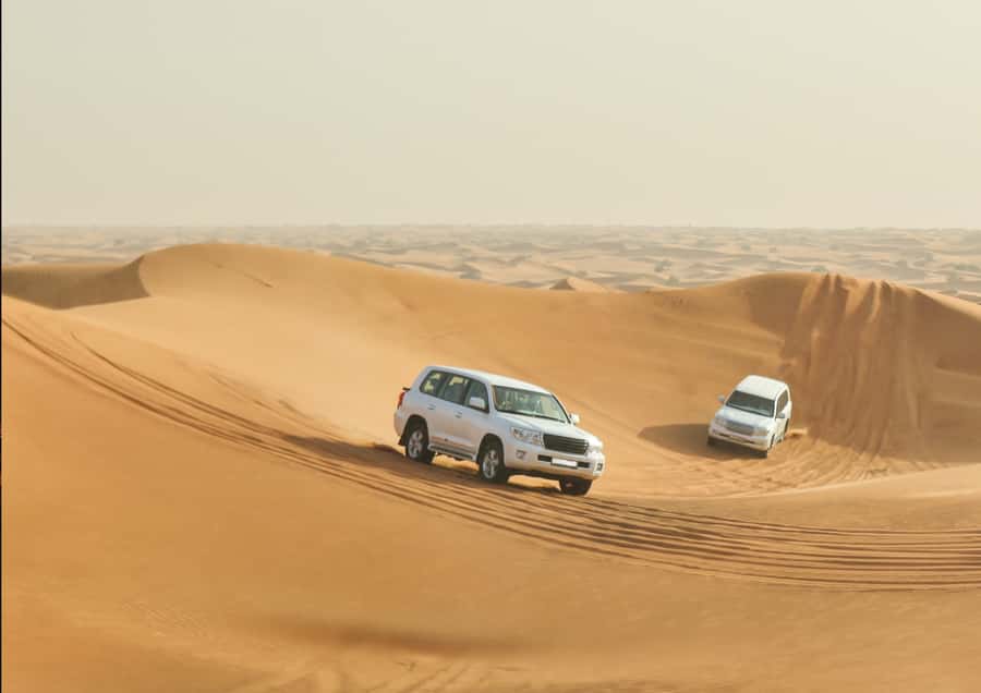 Doha: Sunset Safari, Dune Bashing, Sandboarding & Camel Ride - Who should book this Doha desert safari?