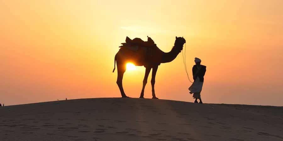 Doha: Thrilling 4x4 Desert Safari, Inland Sea-All Activities - Reaching the Inland Sea and Sheraton Dune