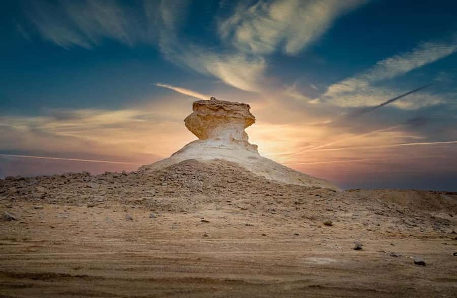 Doha: West Coast Qatar Tour, Sculptures, Camel Racing track - Why Qatar’s west coast is worth your time