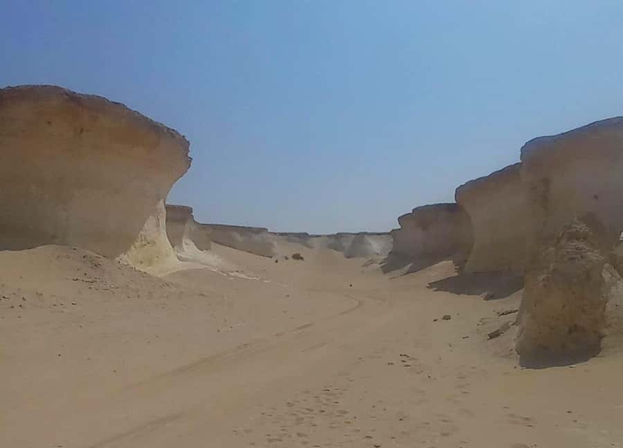 Doha: West Coast Qatar Tour, Sculptures, Camel Racing track - Mushroom Rock and Umbrella Rock Mountain