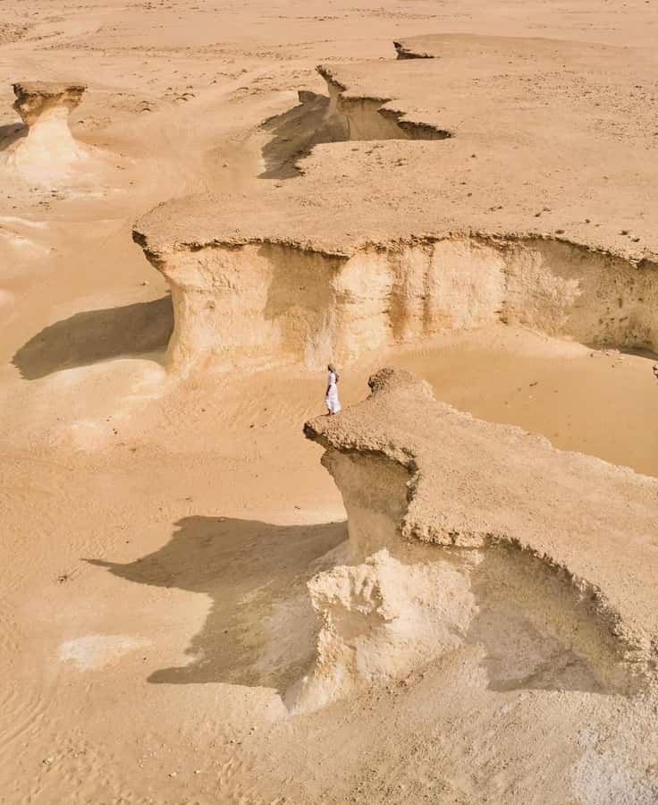 Doha: West Coast Qatar Tour, Sculptures, Camel Racing track - What the $35 price really covers
