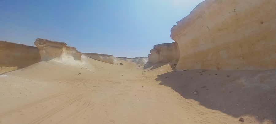 Doha: West Coast Qatar Tour, Sculptures, Camel Racing track - Who should book this west coast tour