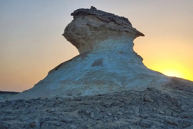 Doha : West Coast Tour on Zekreet Peninsula - Al Shahaniya and Qatar’s camel-racing tradition