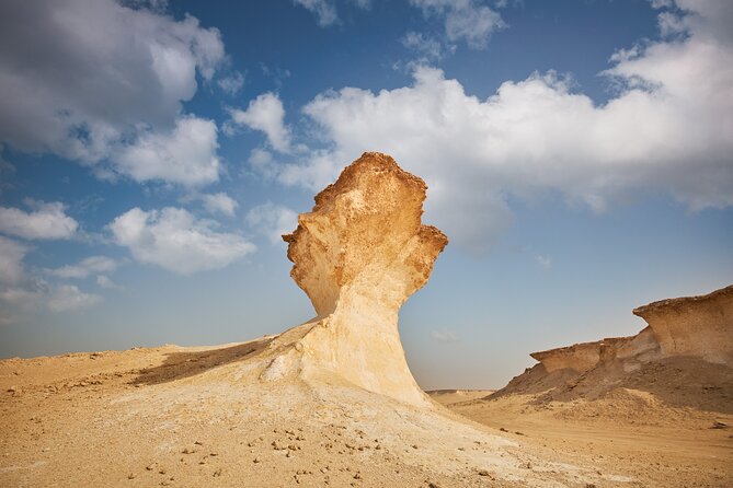 Doha : West Coast Tour on Zekreet Peninsula - The guides can shape the quality of the day