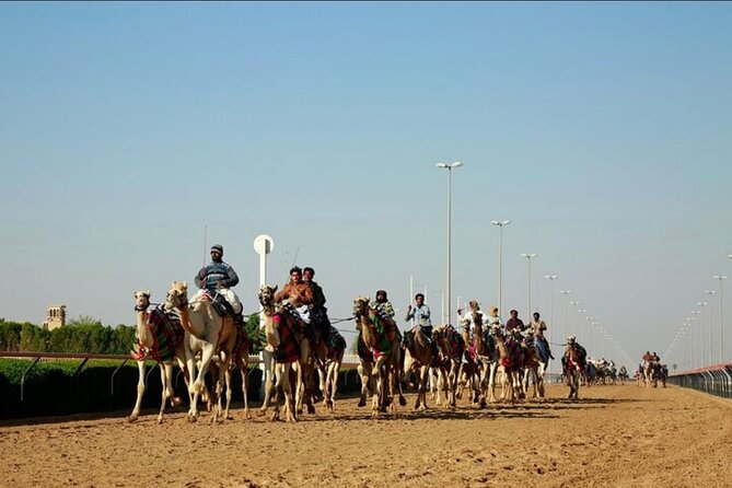 Doha: West Coast Tour Sculpture,Camel Racing Track Rock Formation - Leaving Doha for Ash-Shahaniyah