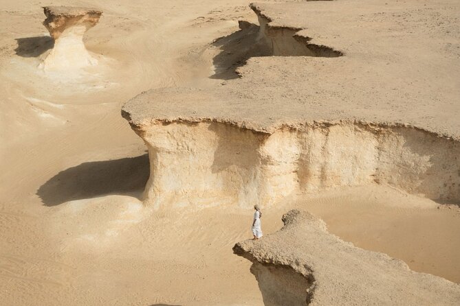 Doha: West Coast Tour Serra and Mushroom Rocks - Al Shahaniya Racetrack and Qatar’s camel tradition
