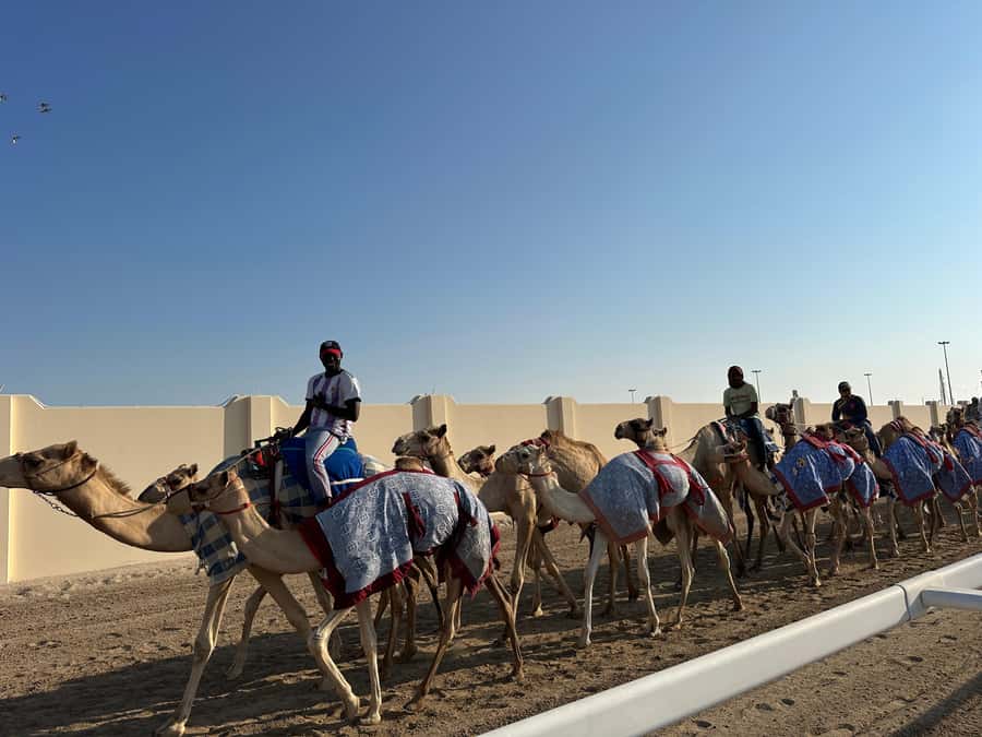 Doha: West Qatar Guided Journey With Pickup & Drop-Off - Zekreet’s limestone formations and the popular Eye Rock