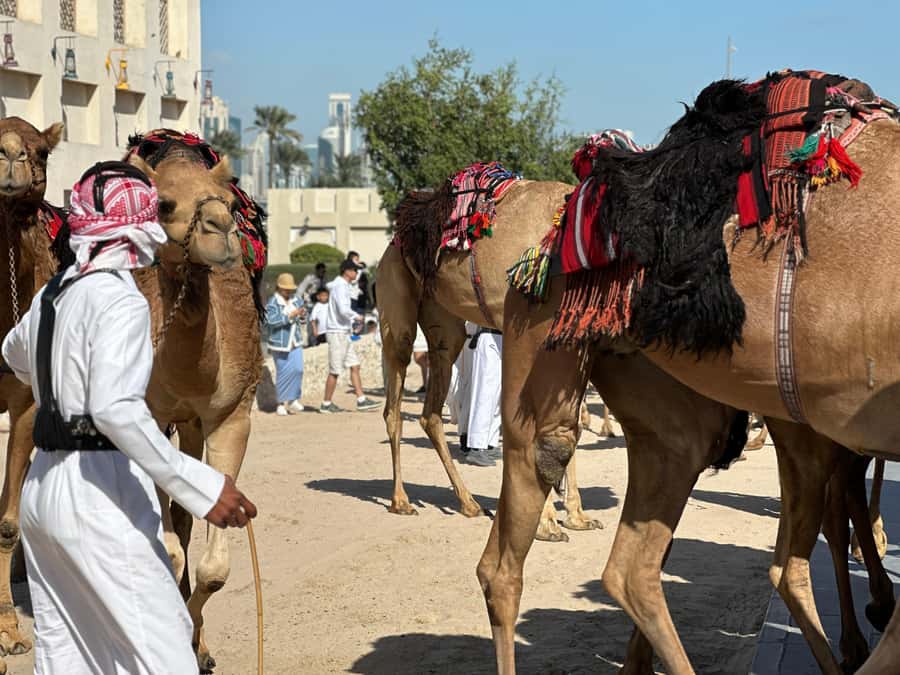 Doha: West Qatar Guided Journey With Pickup & Drop-Off - The guides make the difference