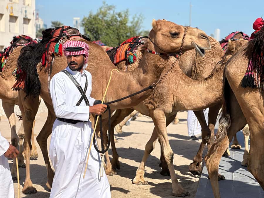Doha: West Qatar Guided Journey With Pickup & Drop-Off - Leaving Doha in an air-conditioned 4x4