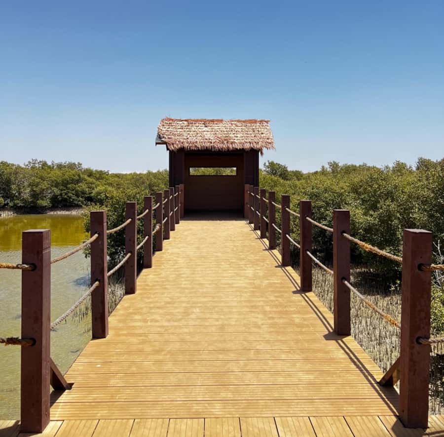 Doha: Zubara UNESCO Site, Mangroves & Jumail Village - Key points to know before booking