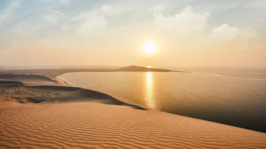 Dune Bashing &Beyond The Ultimate Desert Safari From Doha - Dune bashing and sandboarding